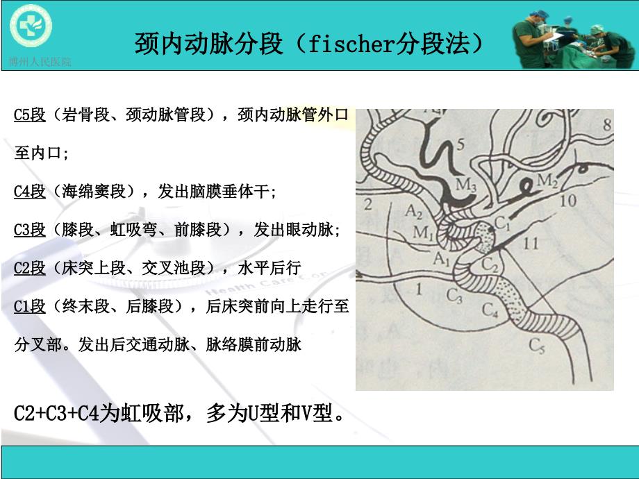 脑动脉解剖与CT重建D_第5页