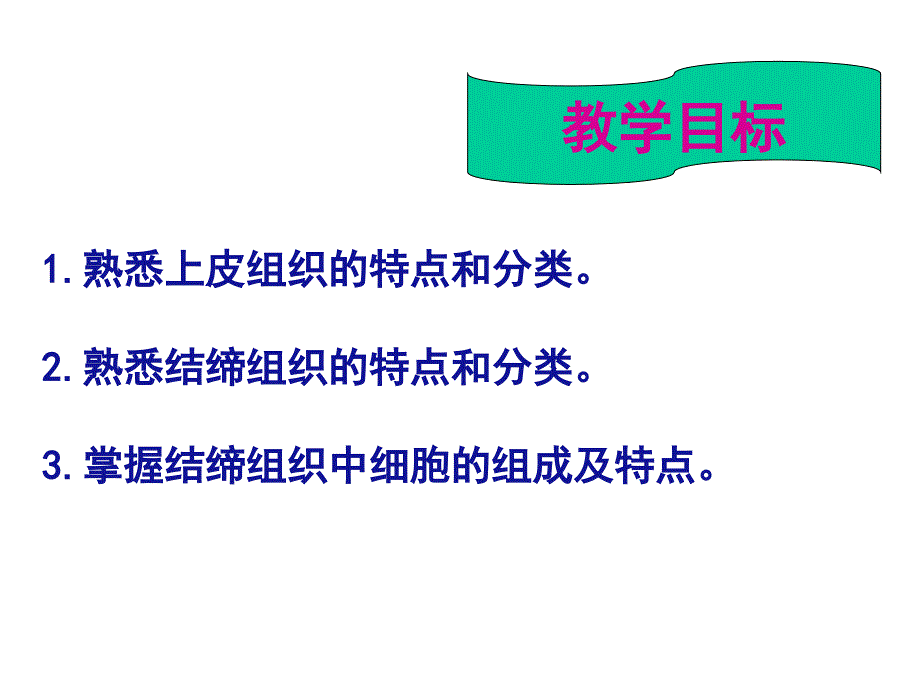 人体结构与功能课件——基本组织_第2页