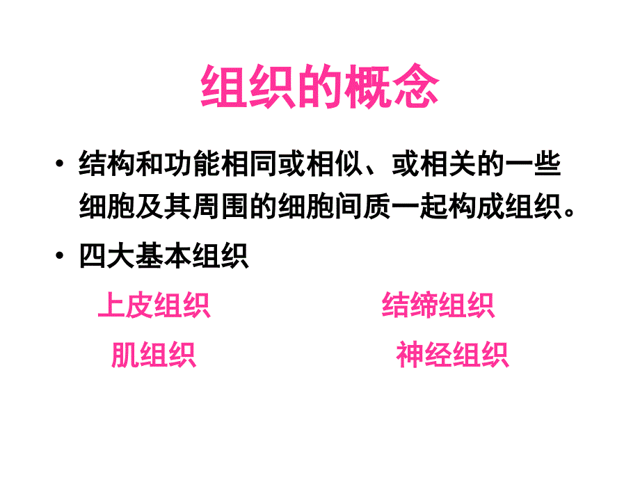 人体结构与功能课件——基本组织_第3页