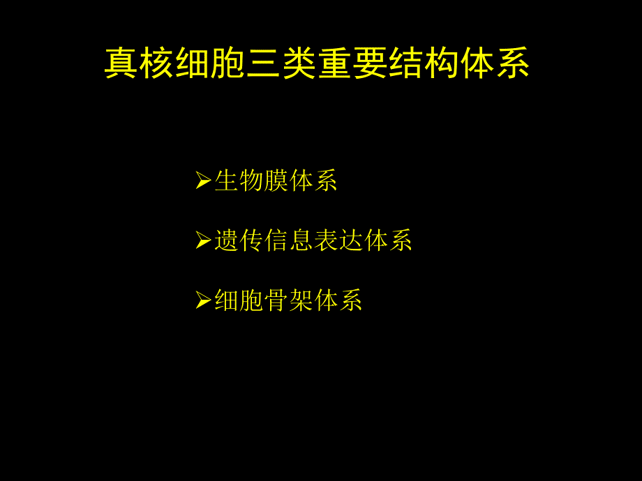 医学细胞生物学：第七章 细胞骨架_第3页