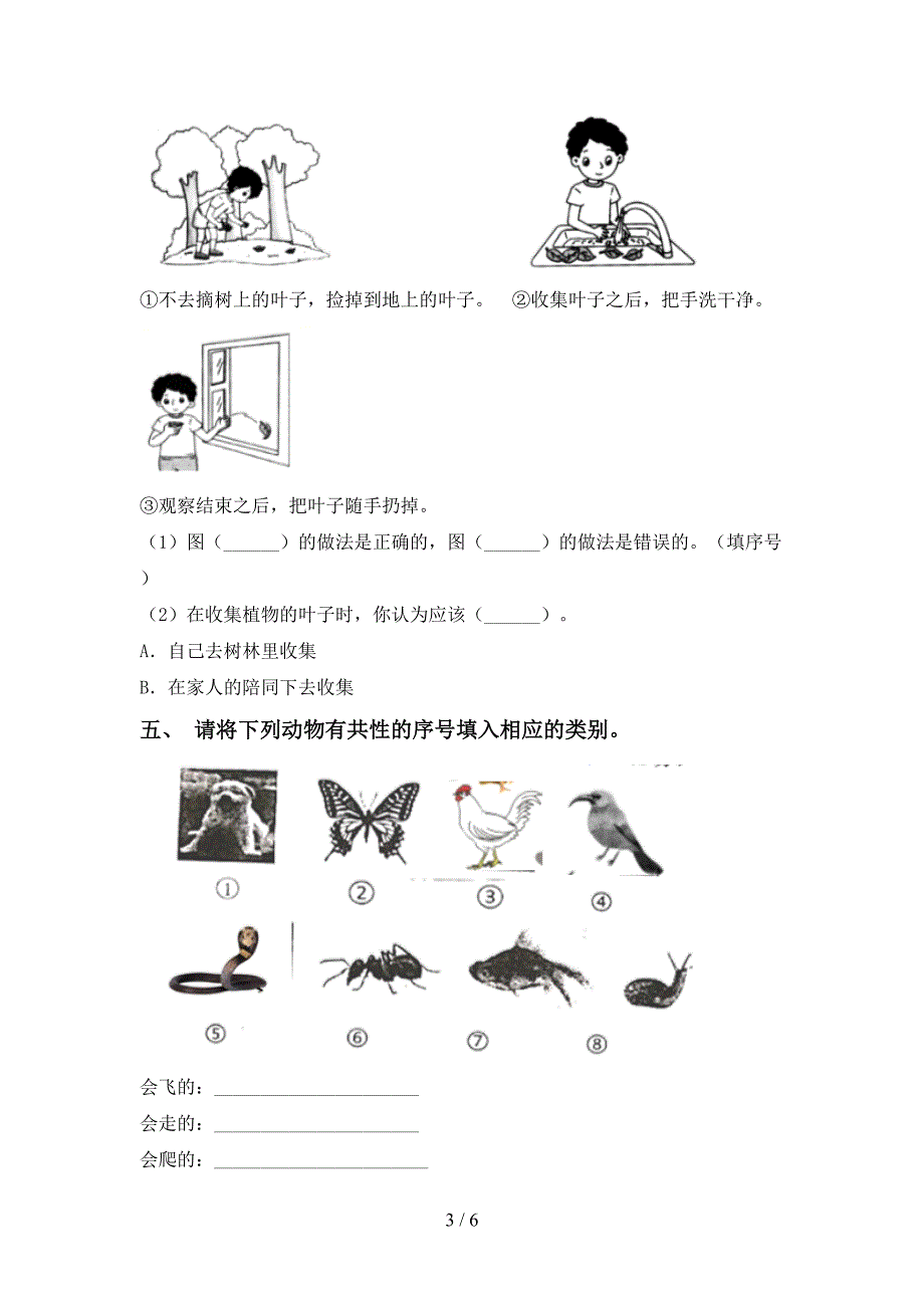 2022年人教版一年级科学上册期中考试卷及答案.doc_第3页