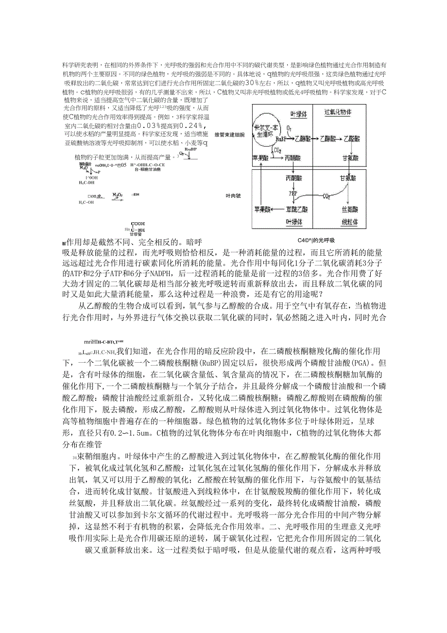 光合作用和光呼吸_第3页