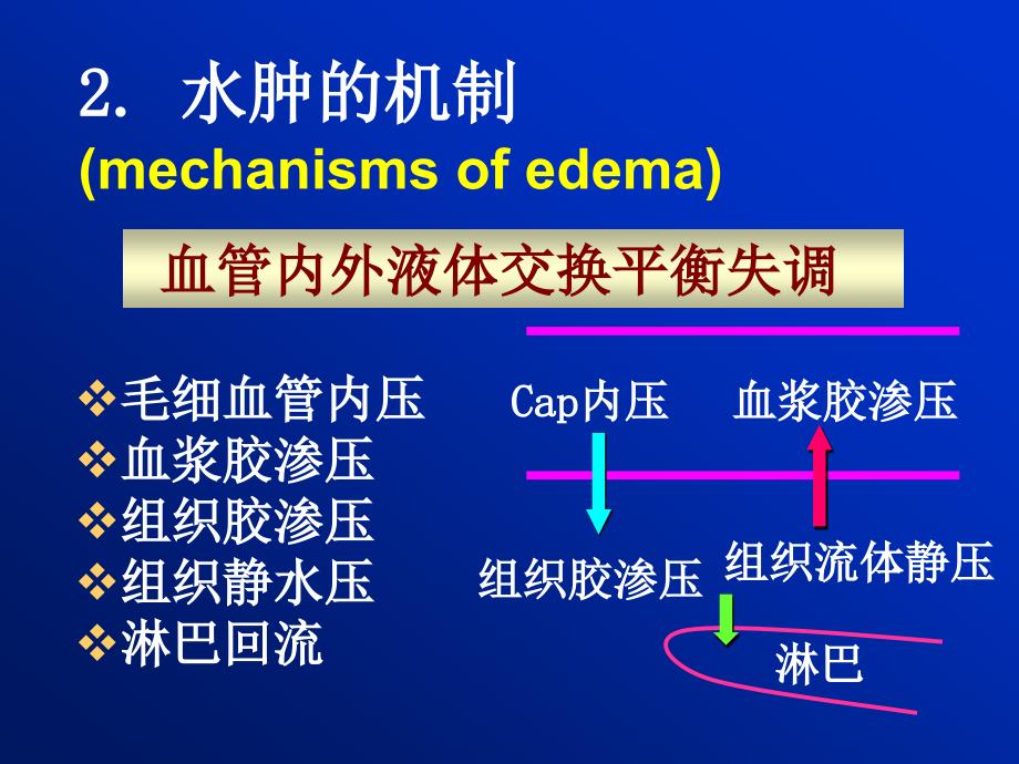 水电水肿课件.ppt_第2页