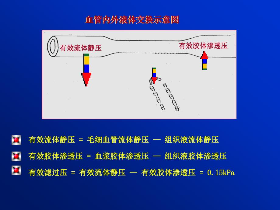 水电水肿课件.ppt_第3页