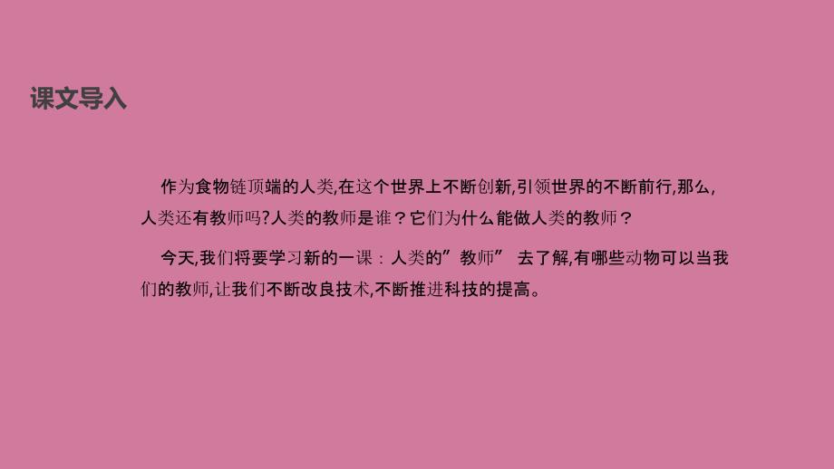 四年级上册语文24人类的老师语文S版ppt课件_第2页