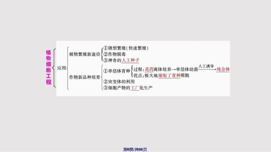 ei选修三细胞工程克隆技术一植物细胞工程实用教案_第5页