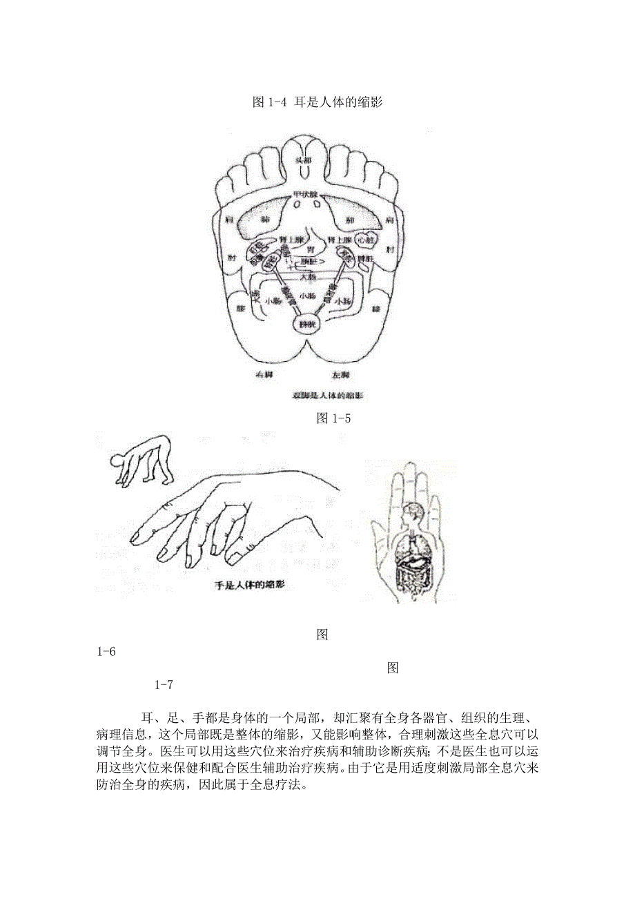 第01讲耳穴.doc_第3页