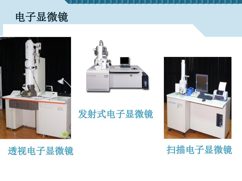 21.1练习使用显微镜_第3页