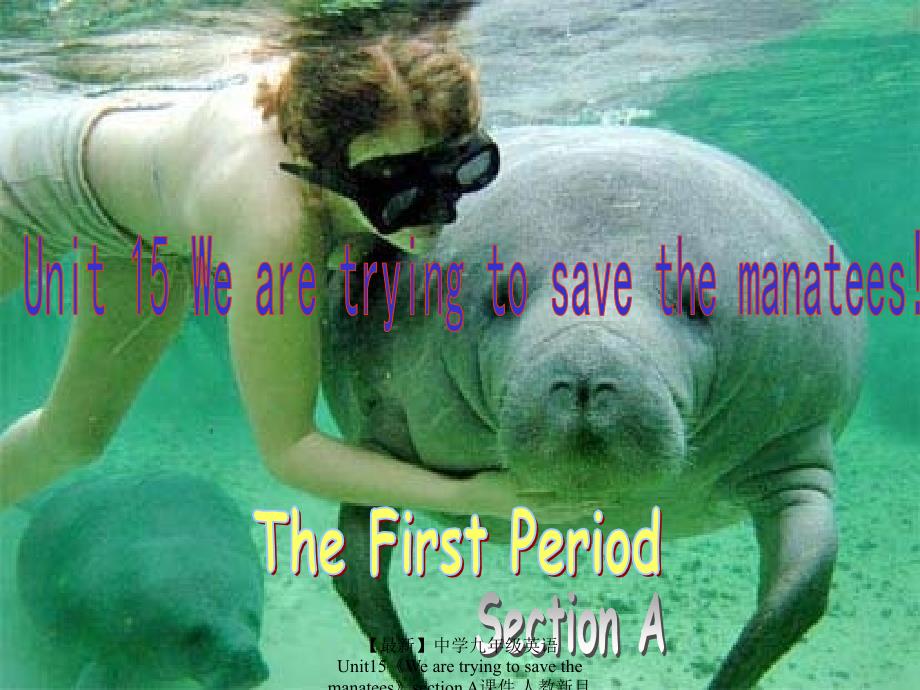 最新九年级英语Unit15WearetryingtosavethemanateessectionA人教新目标版_第2页