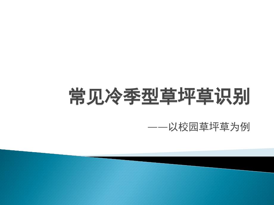 常见草坪草识别_第1页