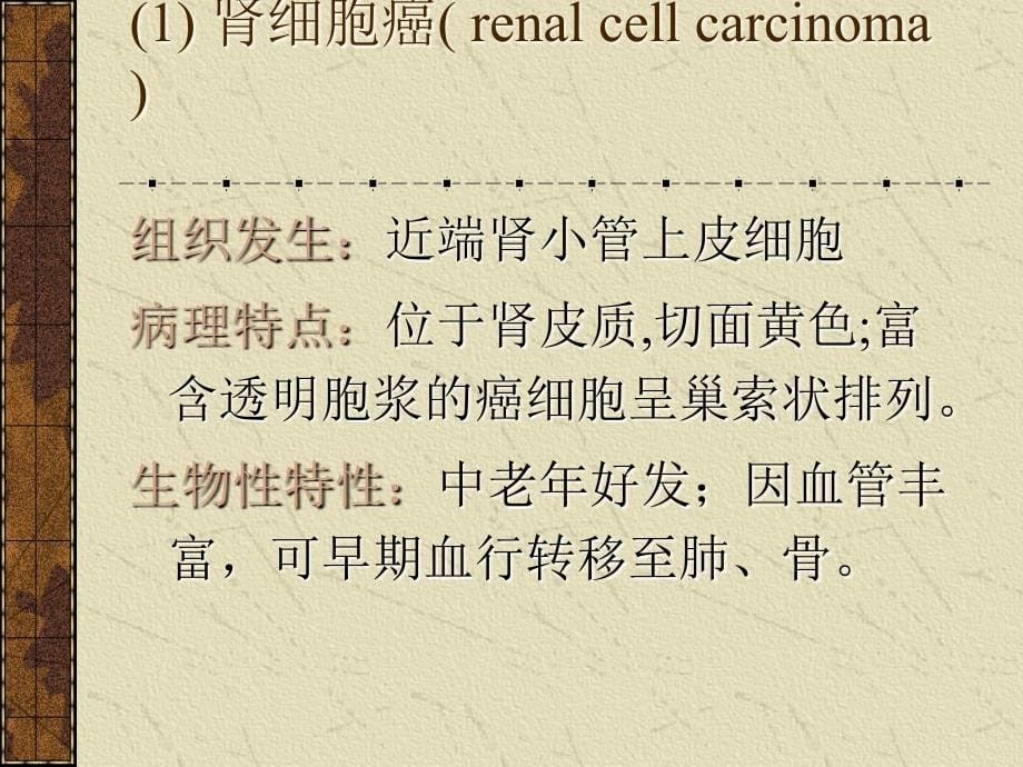 原发性肾脏肿瘤病理分类解析_第5页