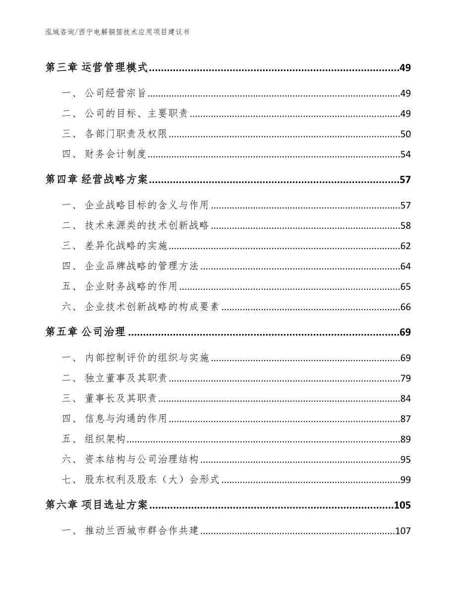 西宁电解铜箔技术应用项目建议书_第2页