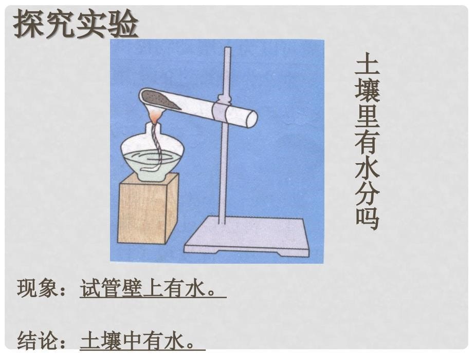 七年级科学下册 第四章第一节土壤的组成和利用课件 华东师大版_第5页