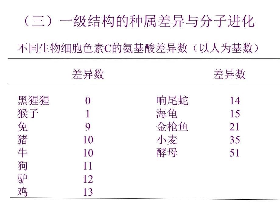 《生物化学蛋白质》PPT课件_第5页