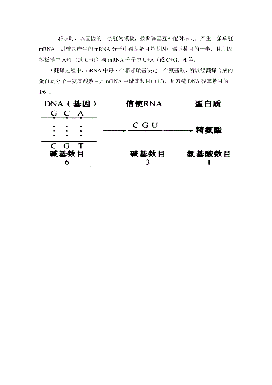 必备知识点归纳：基因指导蛋白质的合成(共4页)_第4页