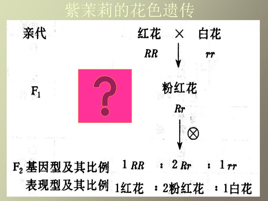 医学遗传学第三章第三节基因互作与环境_第4页