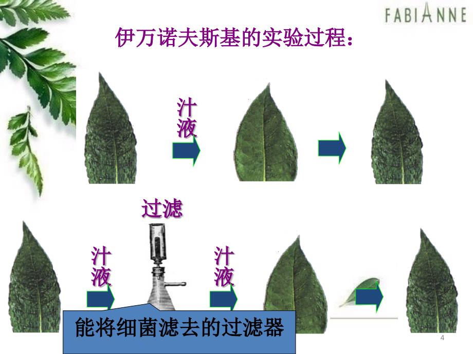 人教版八年级生物上册第五章病毒课件[精选文档]_第4页