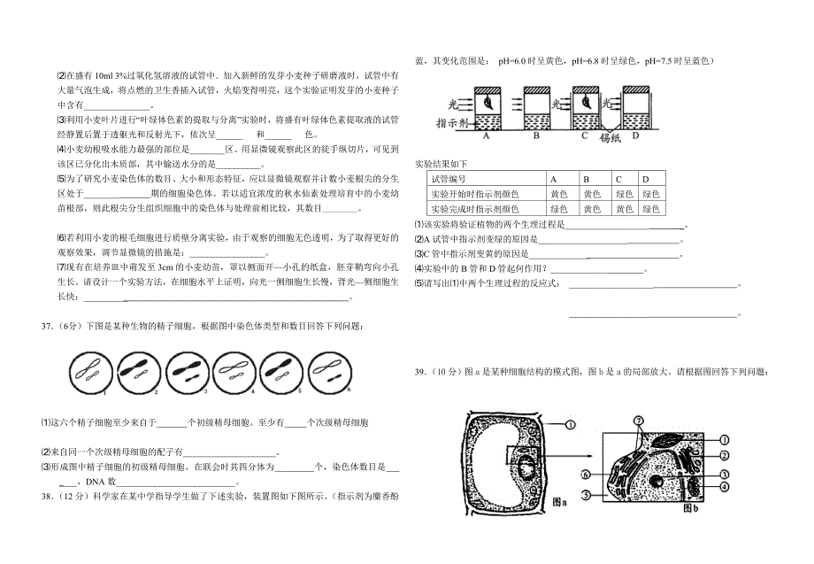 惠安高级中学2006-2007学年度高二年下学期期末试卷生物.doc_第4页