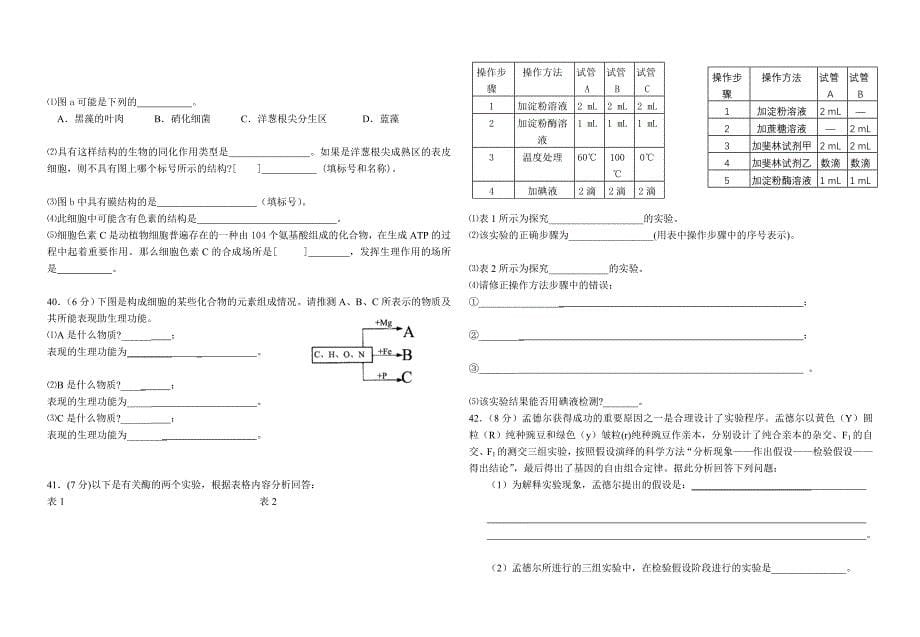 惠安高级中学2006-2007学年度高二年下学期期末试卷生物.doc_第5页