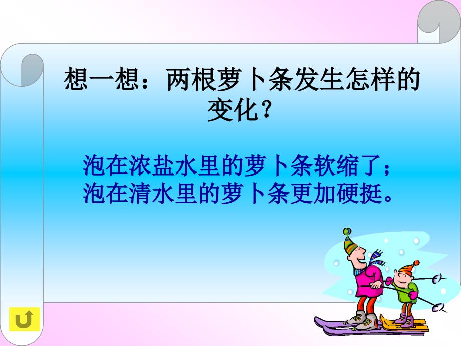 根对水分的吸收精品教育_第4页