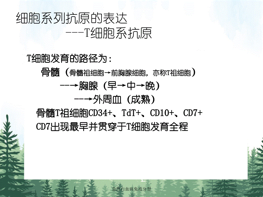 急性白血病免疫分型_第2页