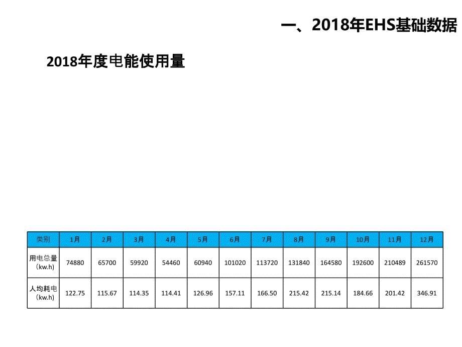 EHS年终总结报告_第5页