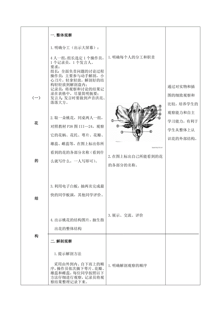 《花的结构和功能》教学设计_第4页