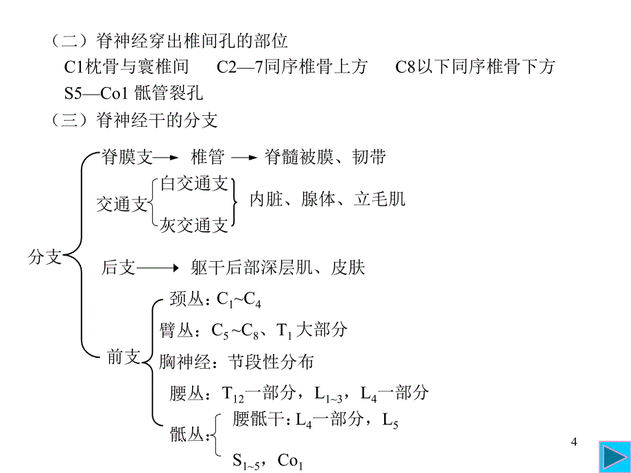 三章周围神经系统_第4页