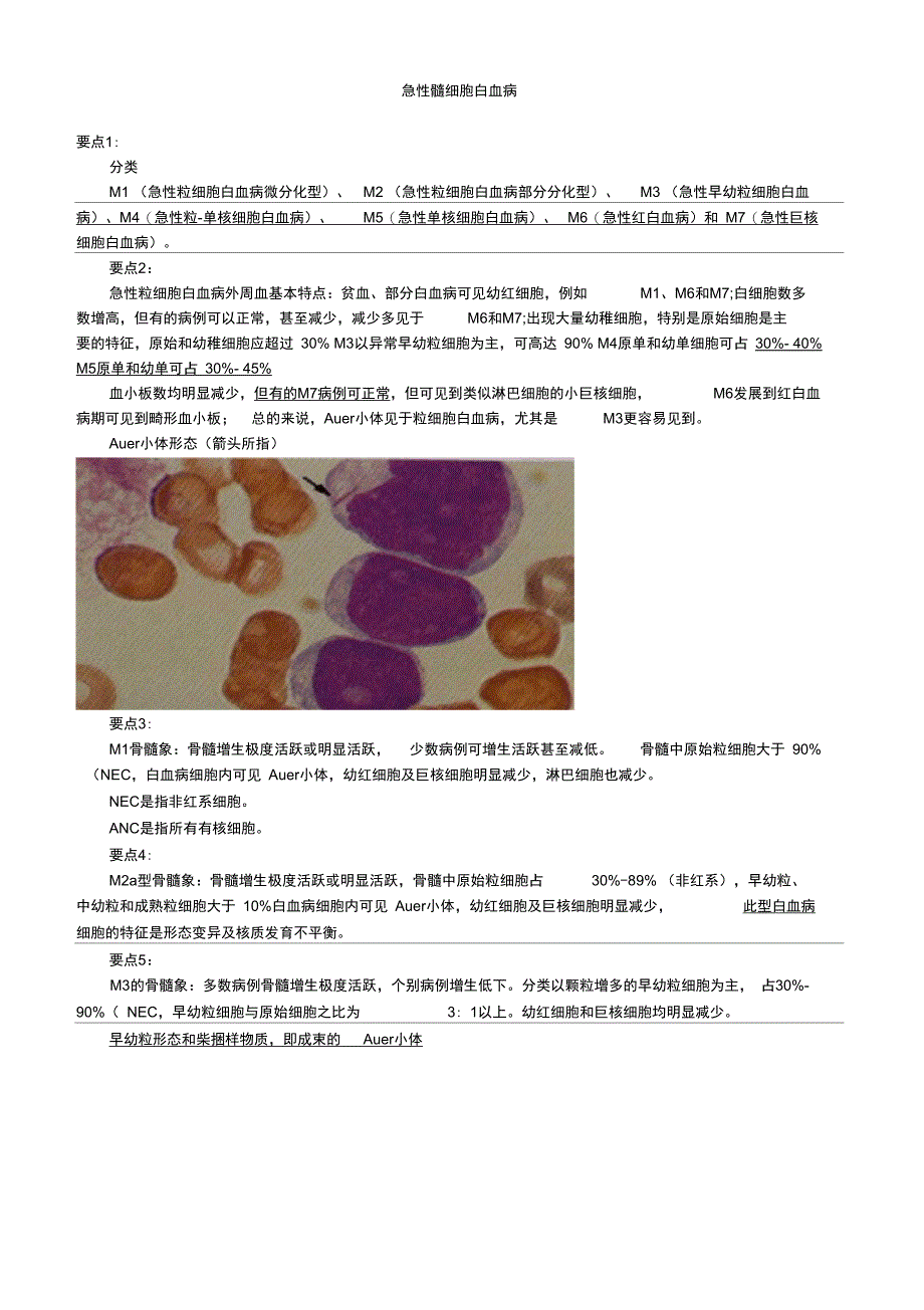 初级检验士考试讲义第10章急性髓细胞白血病_第1页