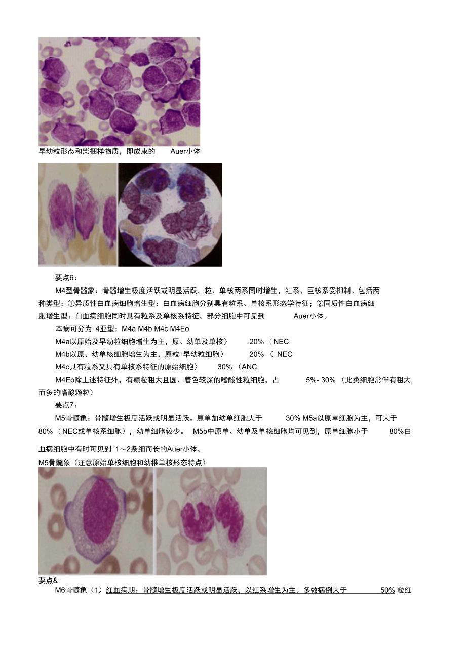 初级检验士考试讲义第10章急性髓细胞白血病_第2页