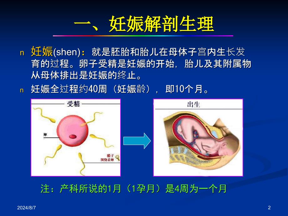 产科正常超声检查与诊断课件_第2页