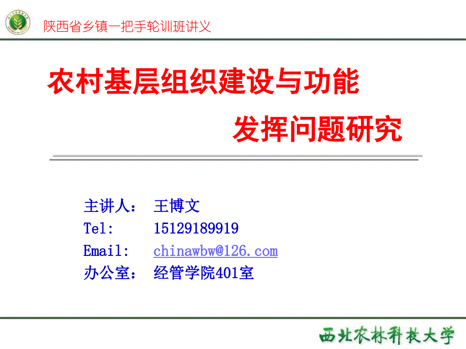 农村基层组织建设与功能发挥问题研究王博.ppt_第1页