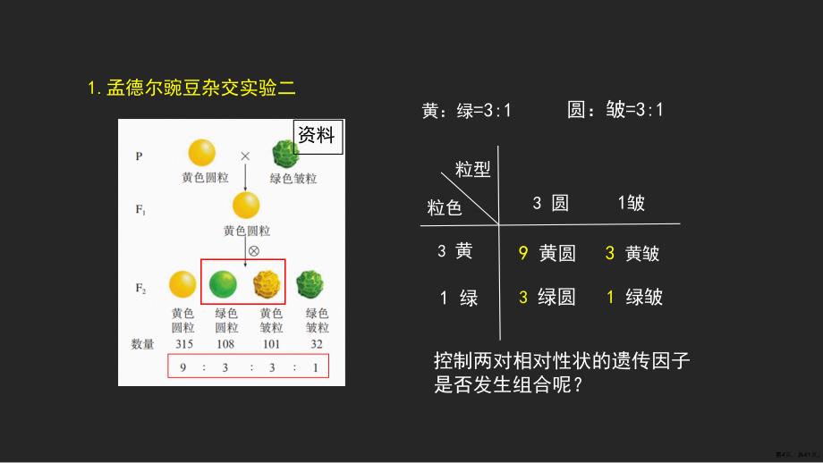 2021届高三一轮复习生物《基因的自由组合定律复习》课件(41页PPT)_第4页