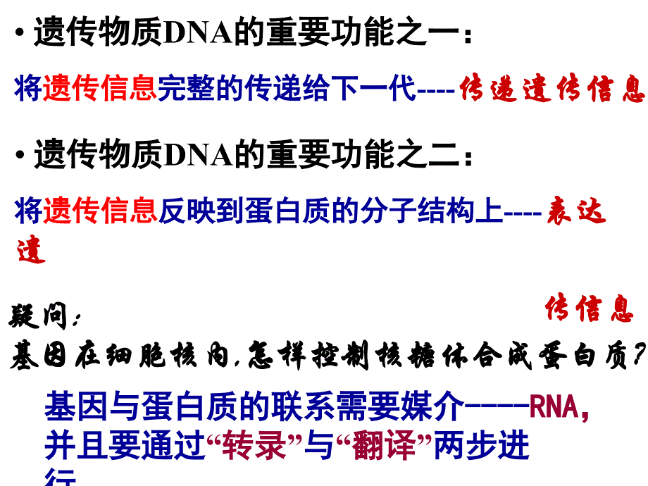 第四节遗传信息的表达RNA和蛋白质的合成_第2页