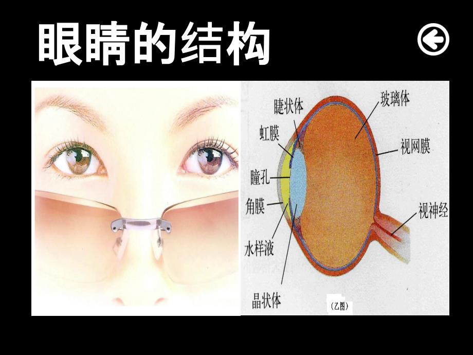 主题班会保护视力爱护眼睛_第3页