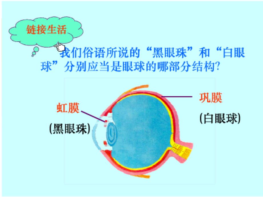 主题班会保护视力爱护眼睛_第4页