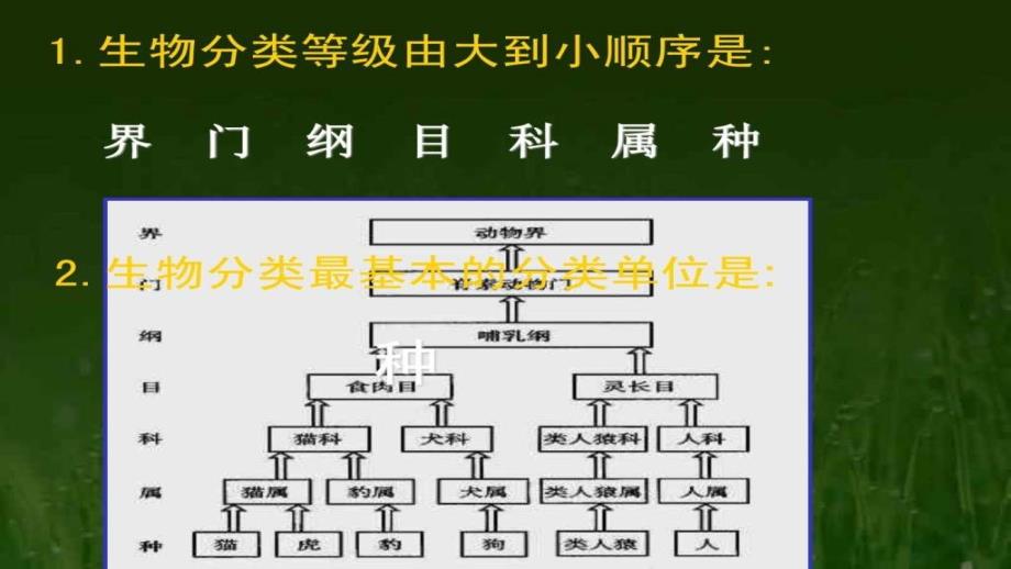 认识生物的多样性课件_第1页