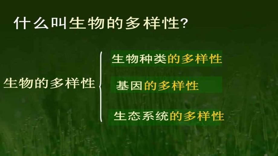 认识生物的多样性课件_第3页