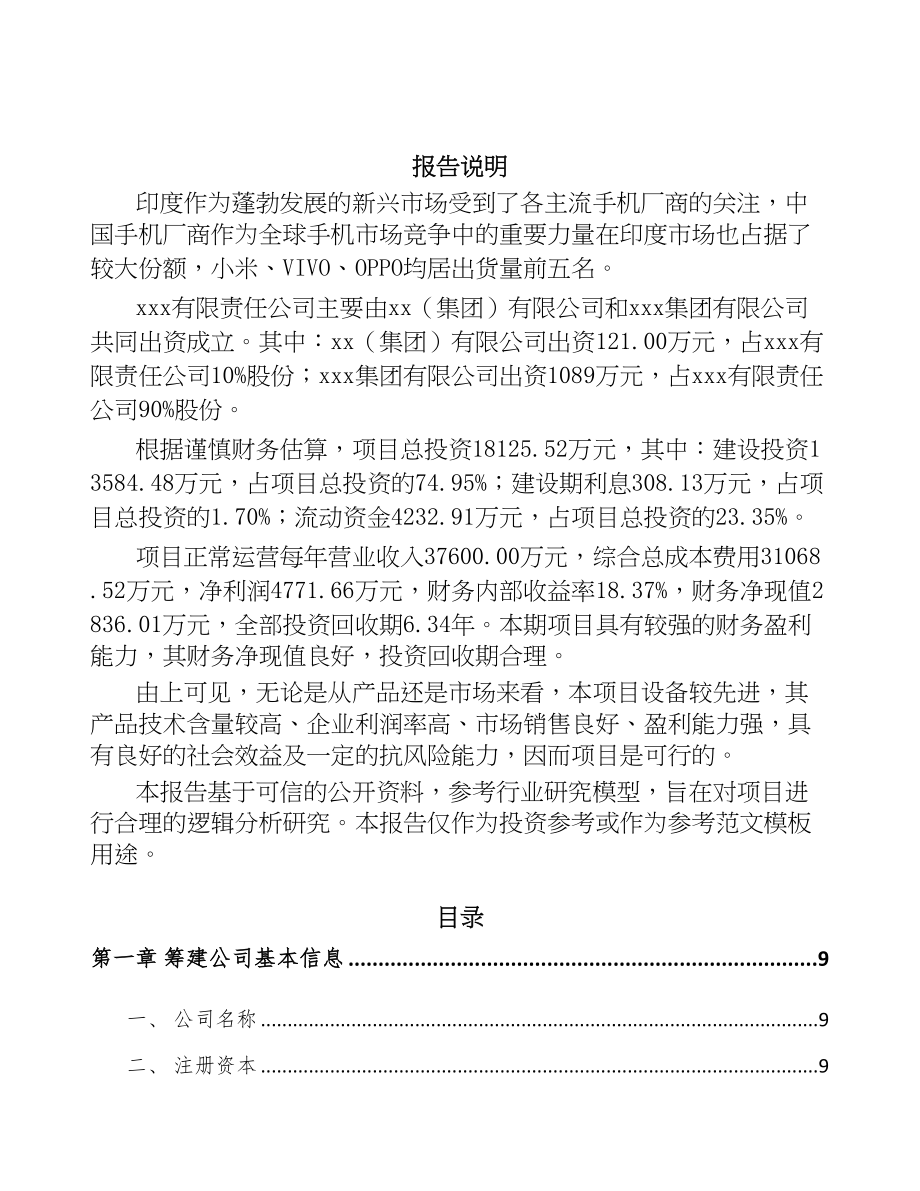 关于成立电声产品公司可行性报告(DOC 88页)_第2页