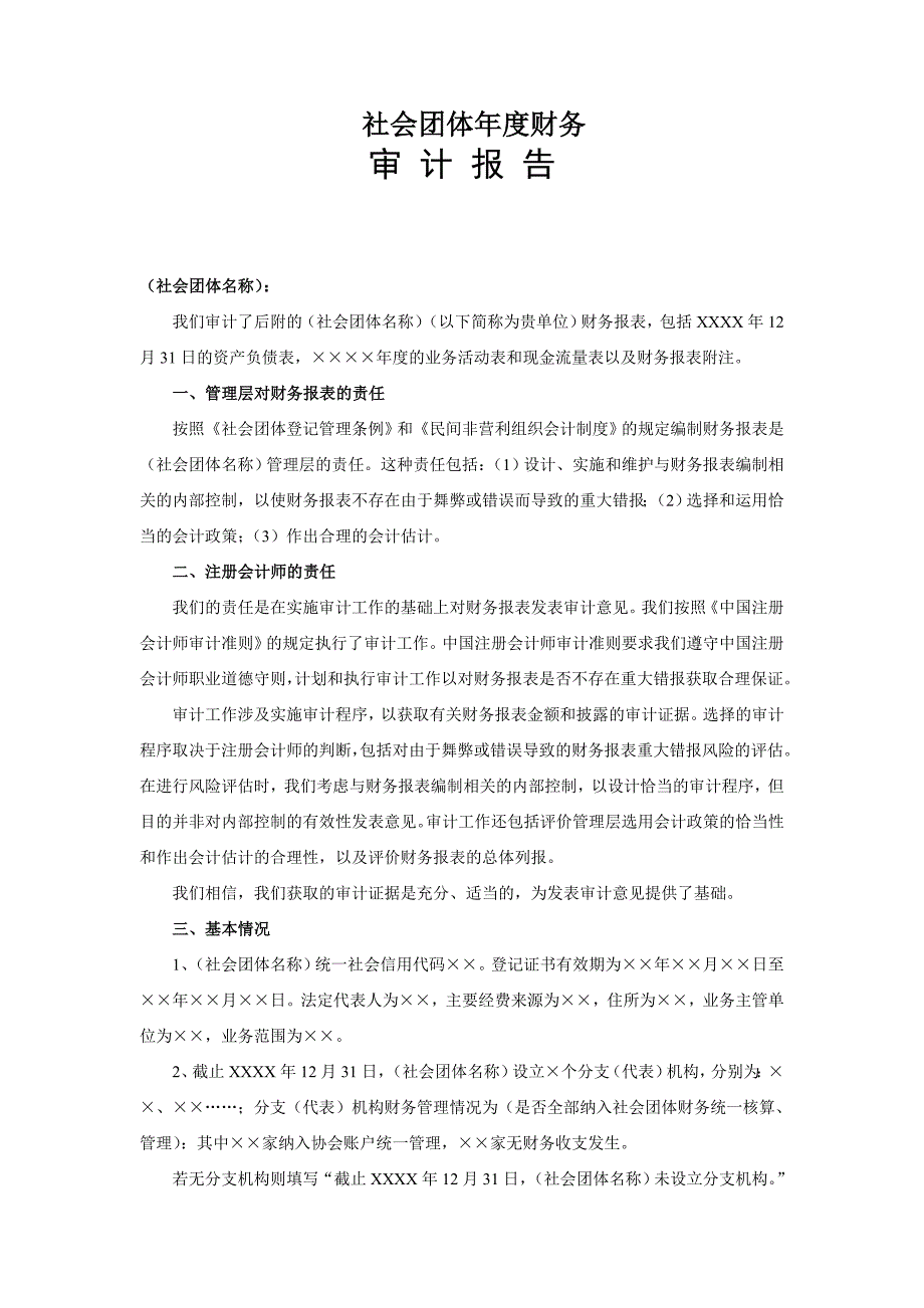 社会团体财务审计报告模板.doc_第2页