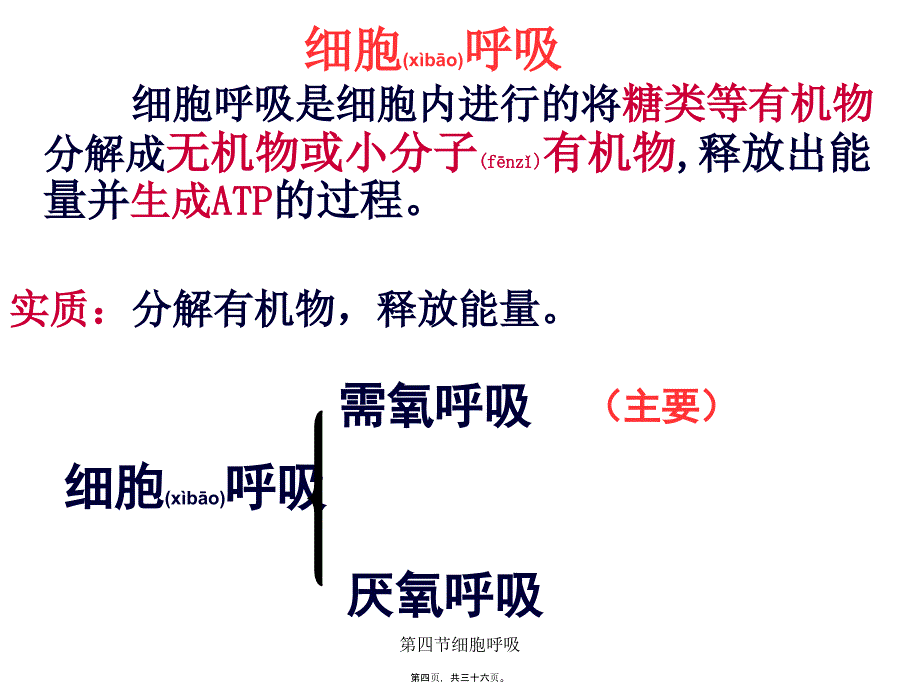 第四节细胞呼吸课件_第4页