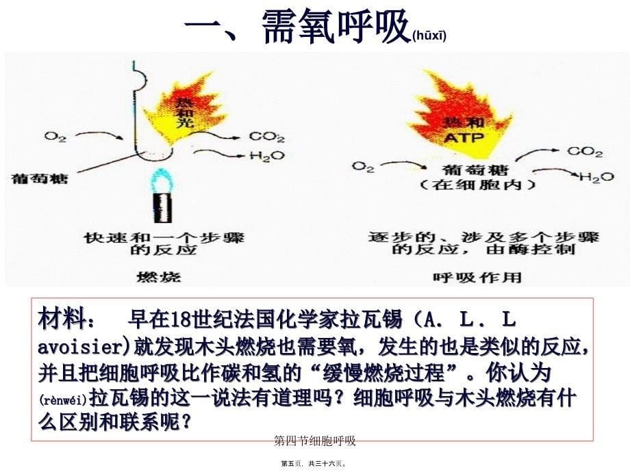 第四节细胞呼吸课件_第5页