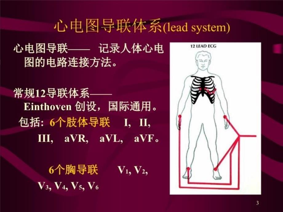 最新心电图心电向量与心肌缺血PPT课件_第3页