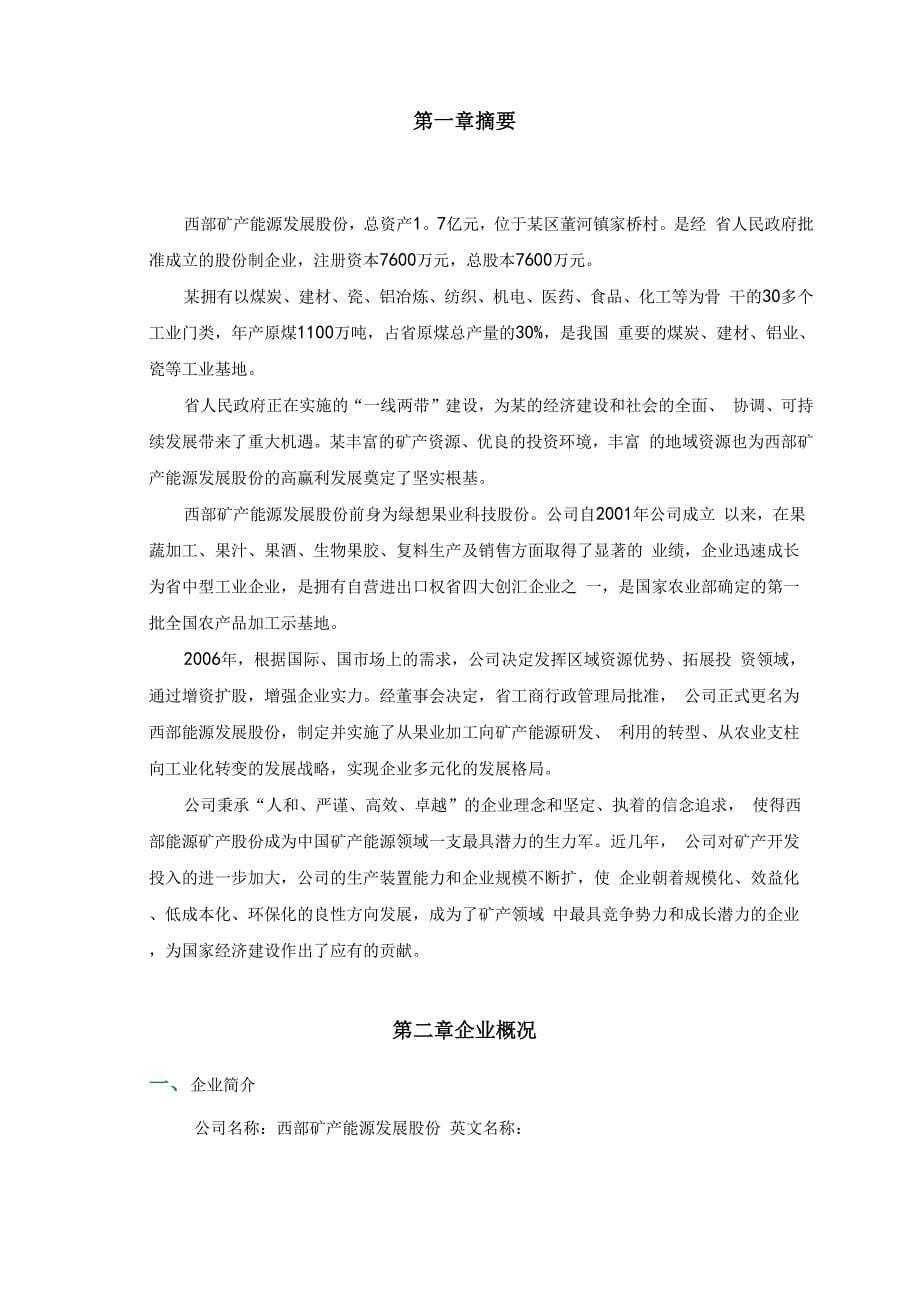 矿产能源商业实施计划书_第5页