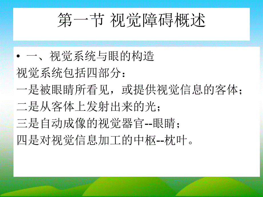 视觉障碍儿童的教育-2分析课件_第2页