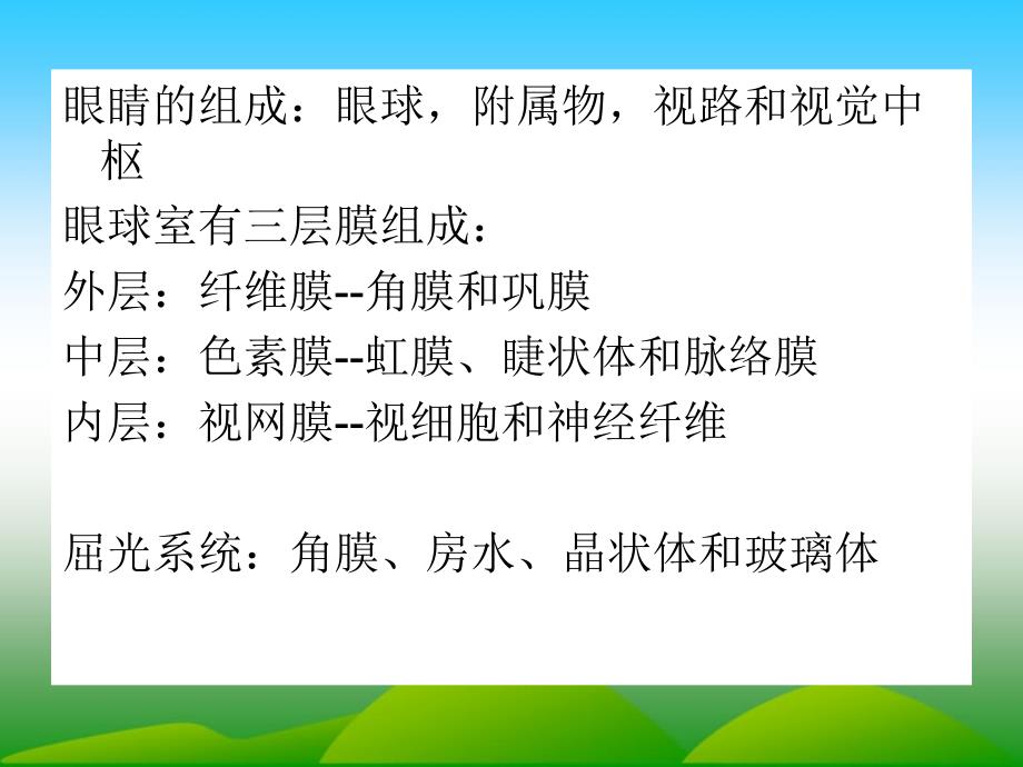 视觉障碍儿童的教育-2分析课件_第4页