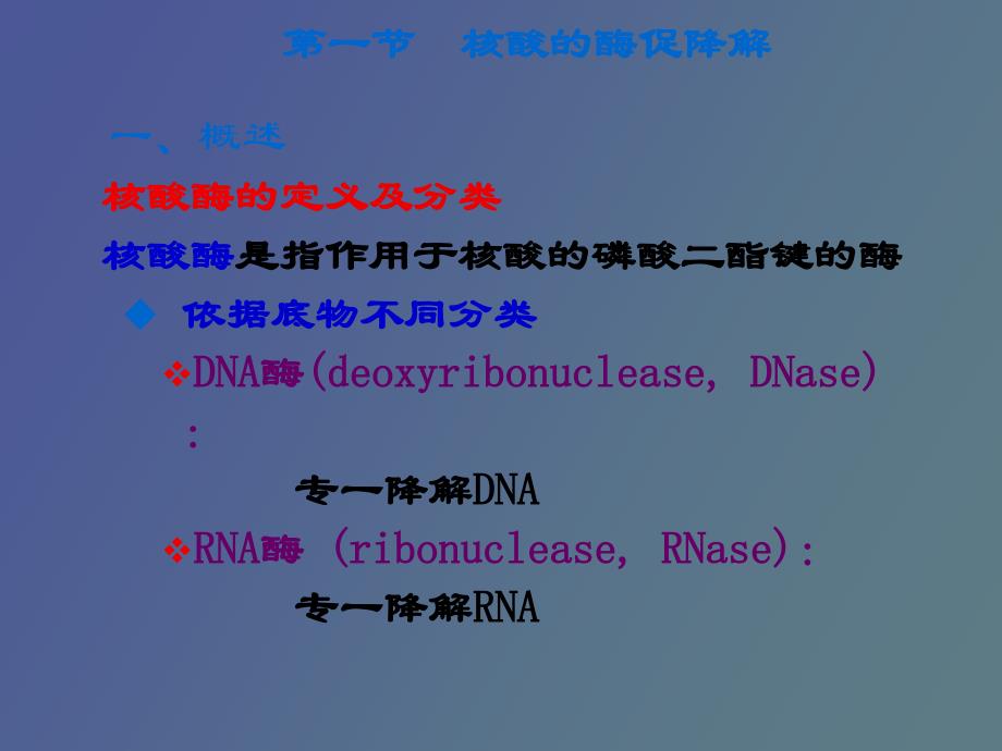 核酸的降解与核苷酸代谢_第3页