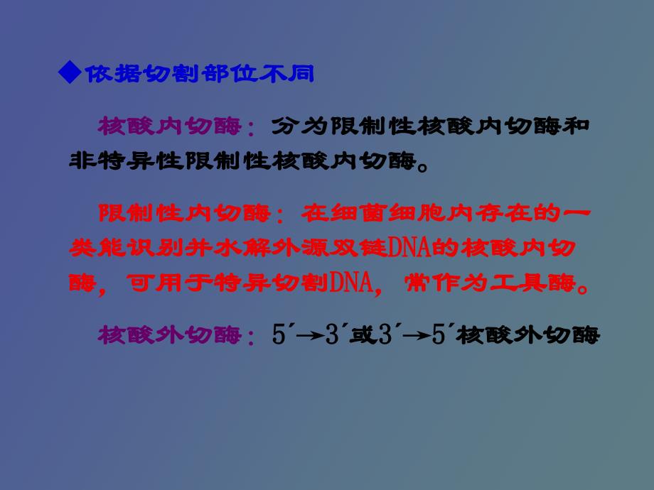 核酸的降解与核苷酸代谢_第4页