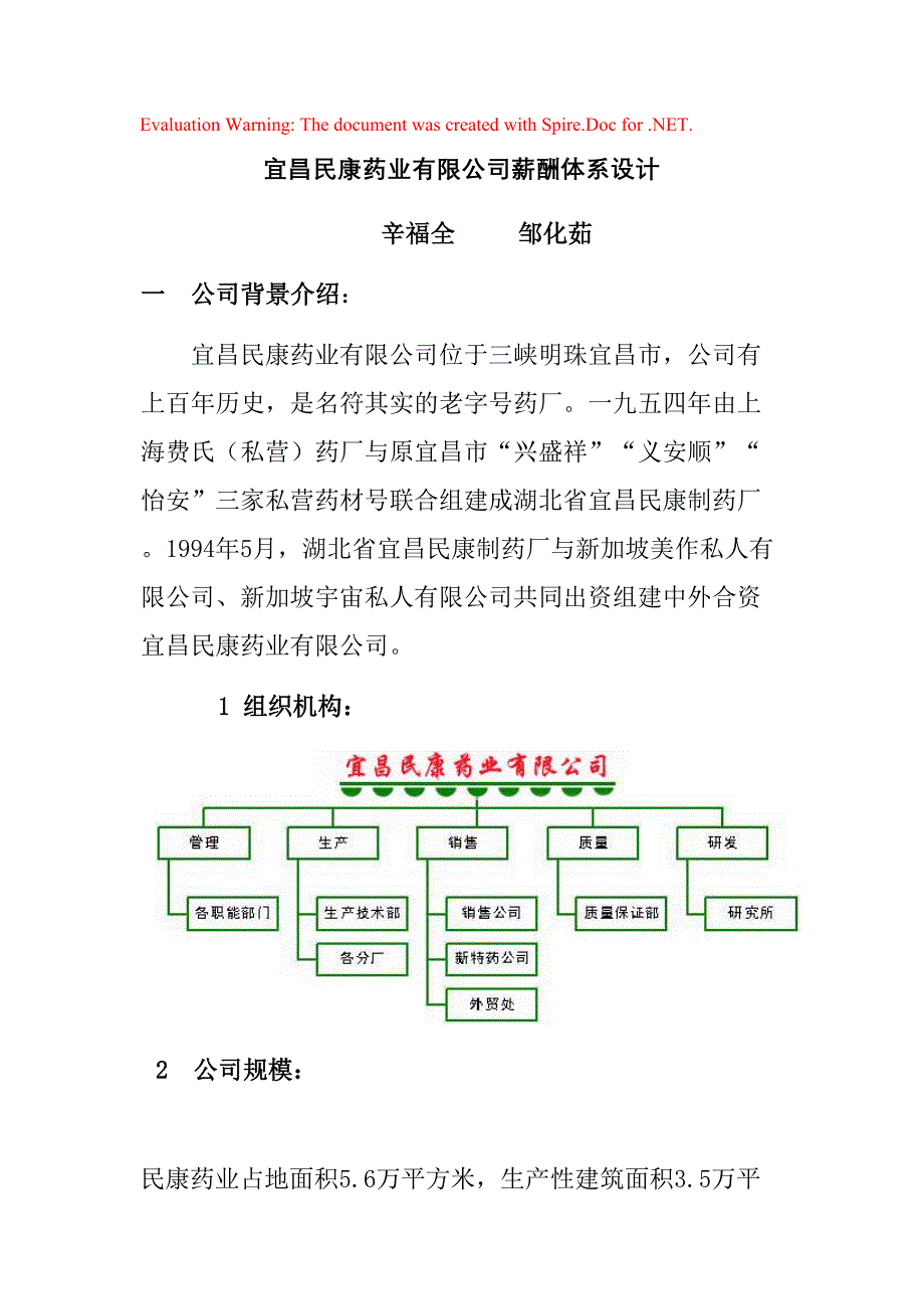 某某药业有限公司薪酬体系设计_第1页