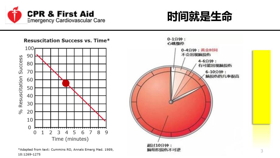 心肺复苏指南ppt课件_第3页